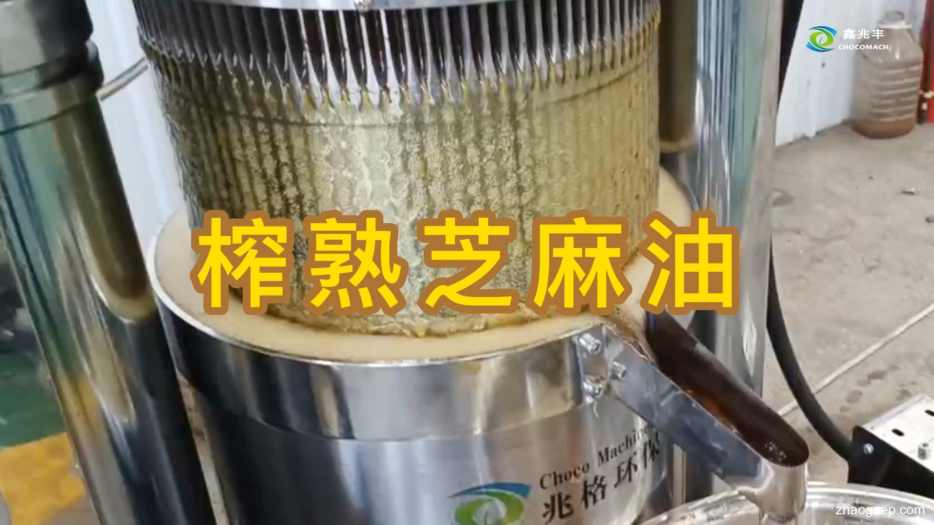 鑫兆豐全自動液壓榨油機怎么提升芝麻油的出油率